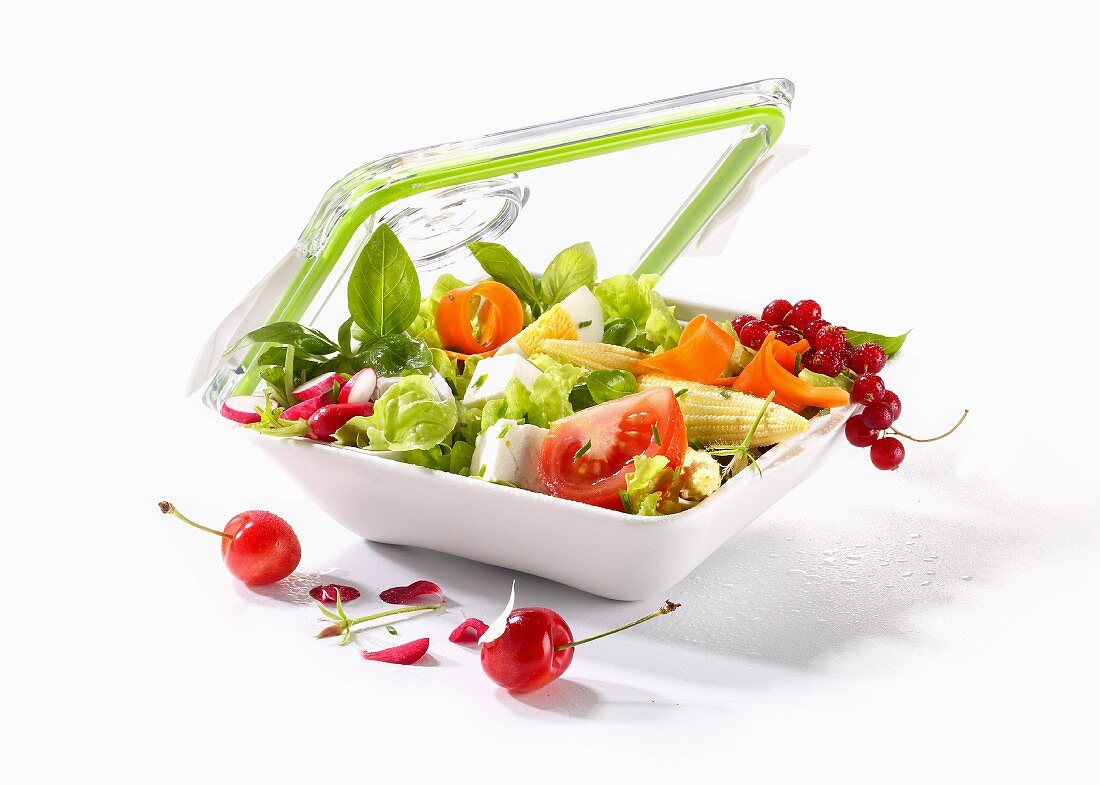 Salat in einer Frischhaltedose