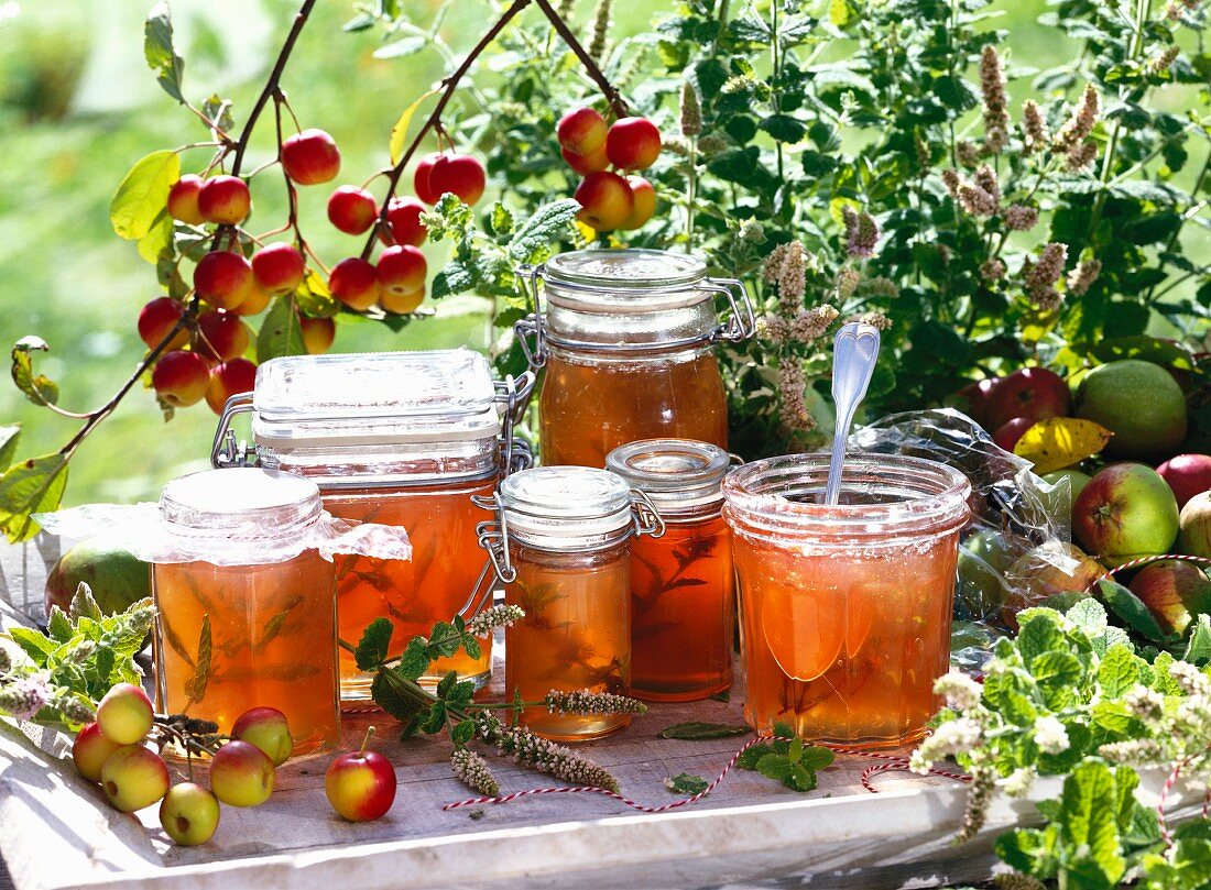 Several jars of apple jelly in the garden, with sprigs of mint and crab-apples