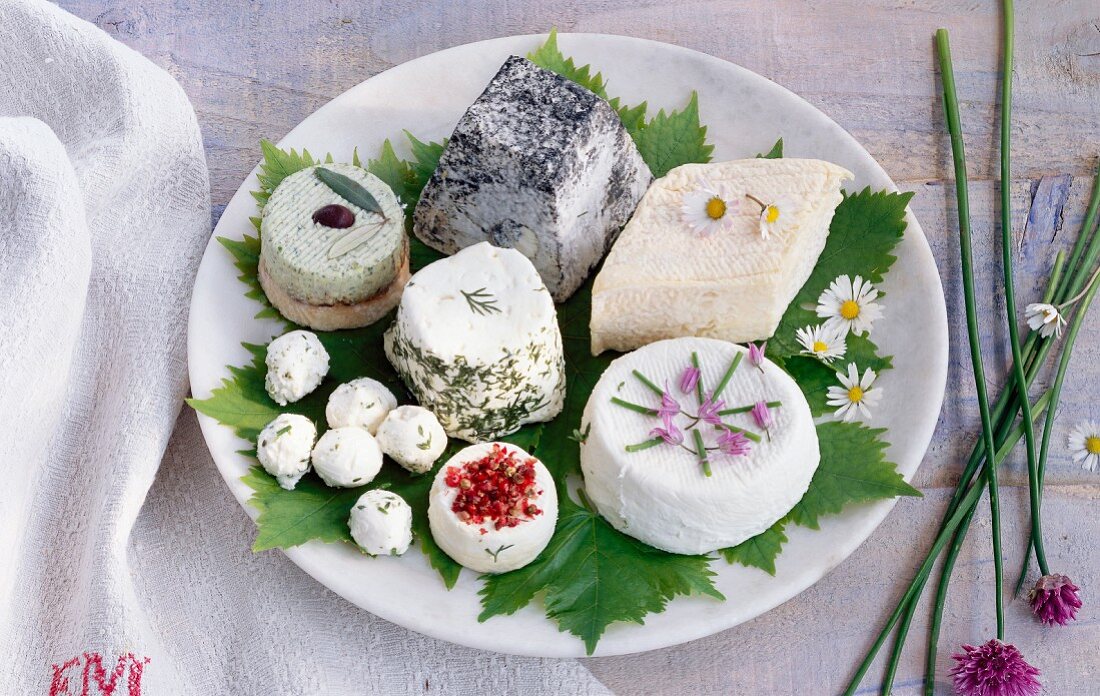 Assorted varieties of soft French cheese on a plate