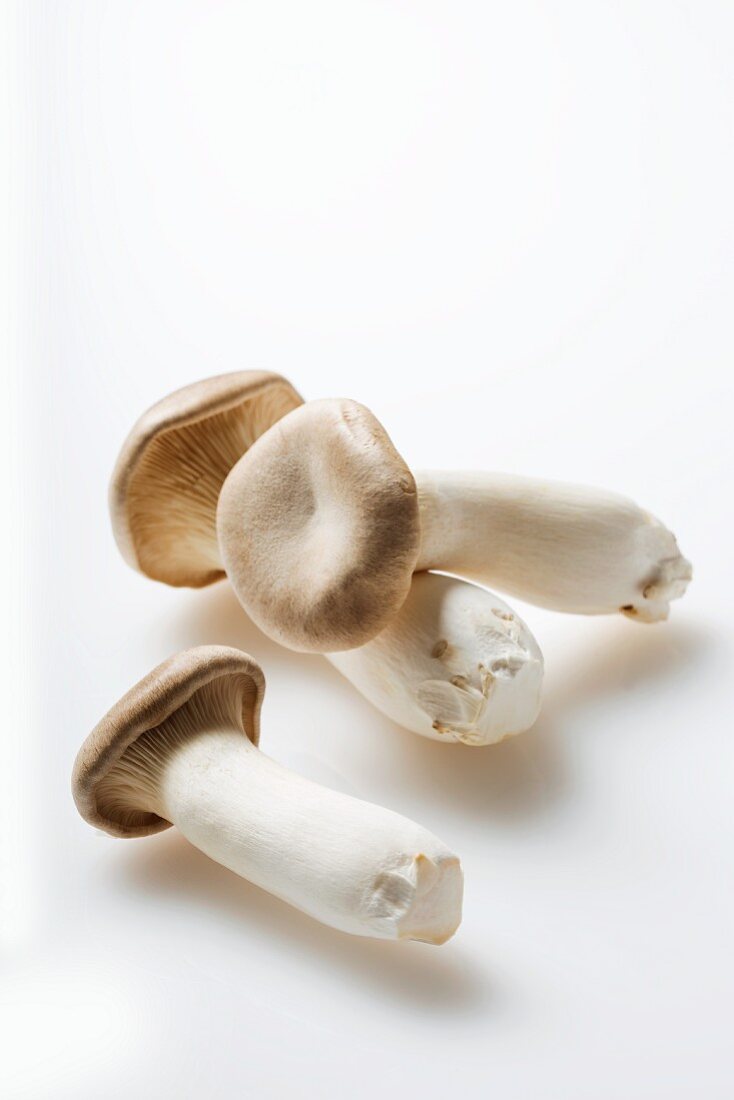 Three King Oyster Mushrooms on a White Background