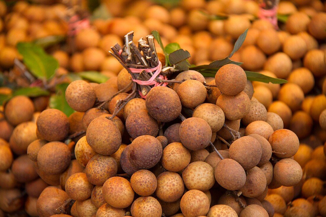 Longan Fruit