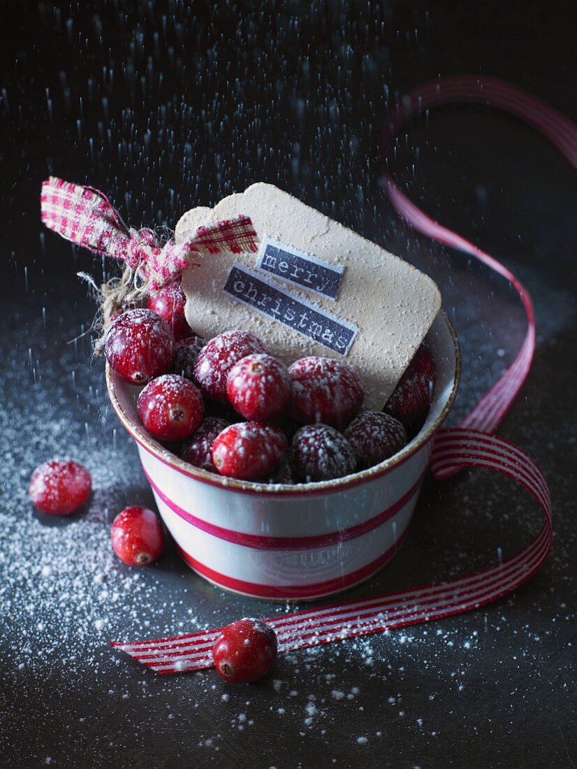 Cranberries mit Puderzucker in einer Schale (weihnachtlich)