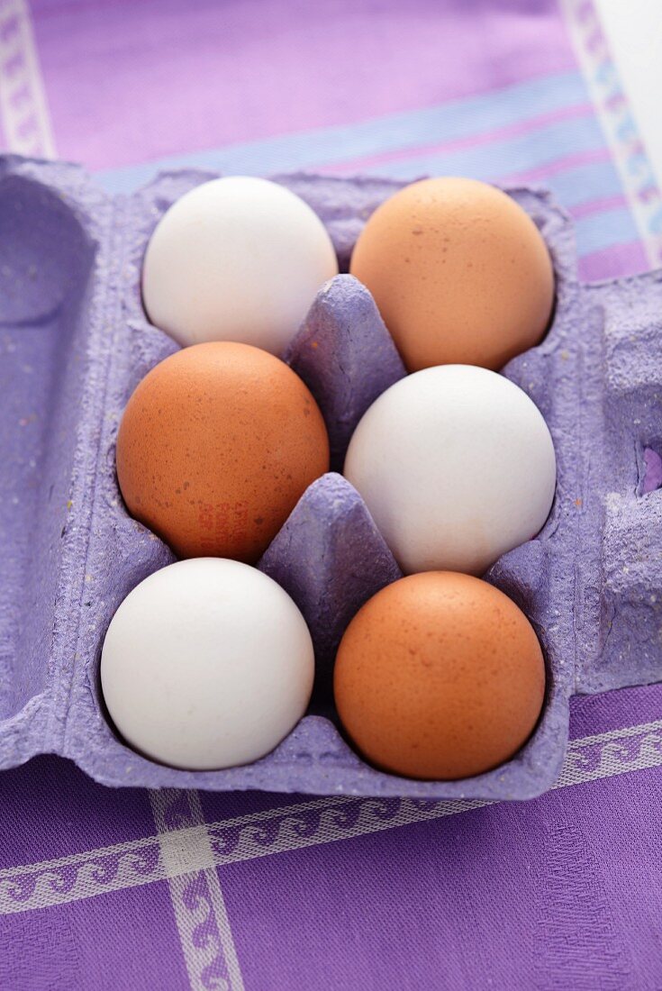 Eggs in a purple egg box