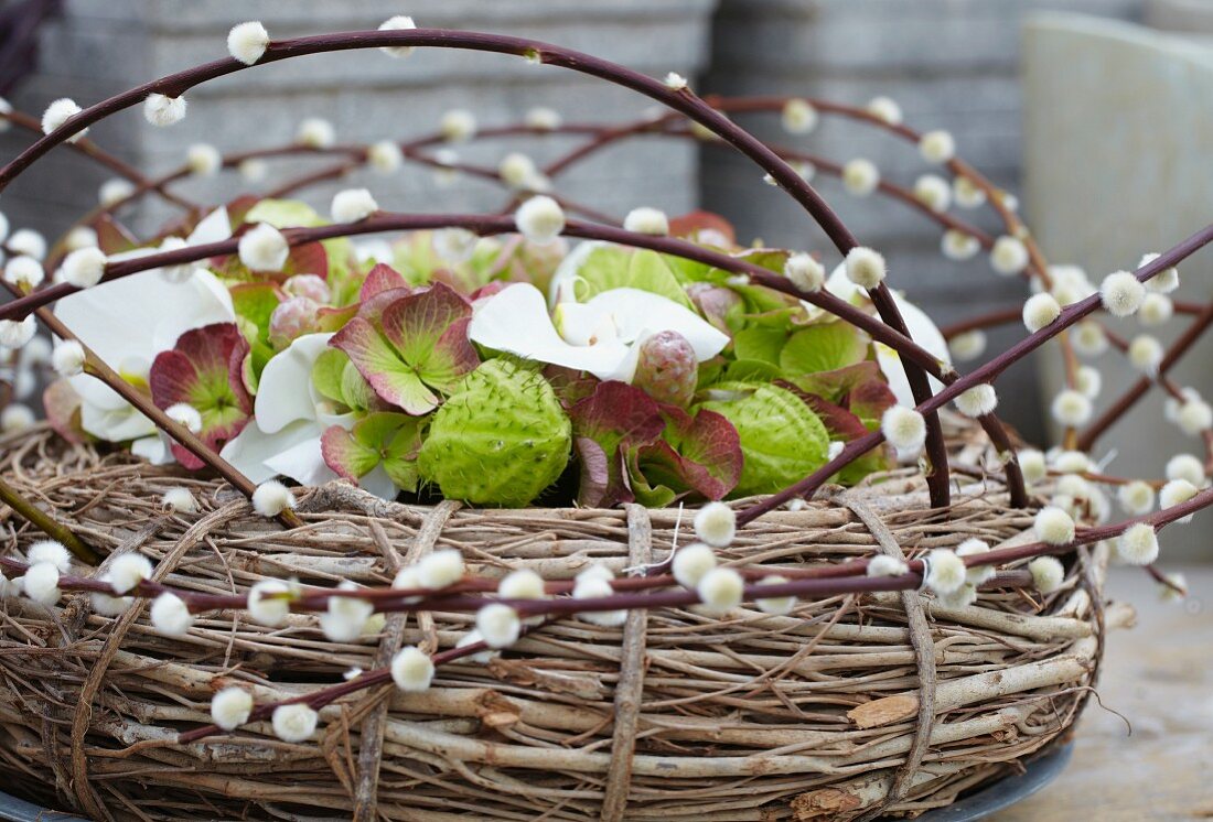 Willow wreath with catkins and asclepia pods