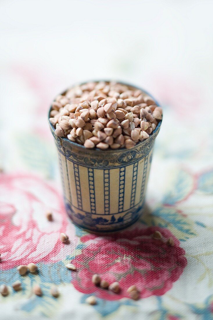 Buckwheat in a pot