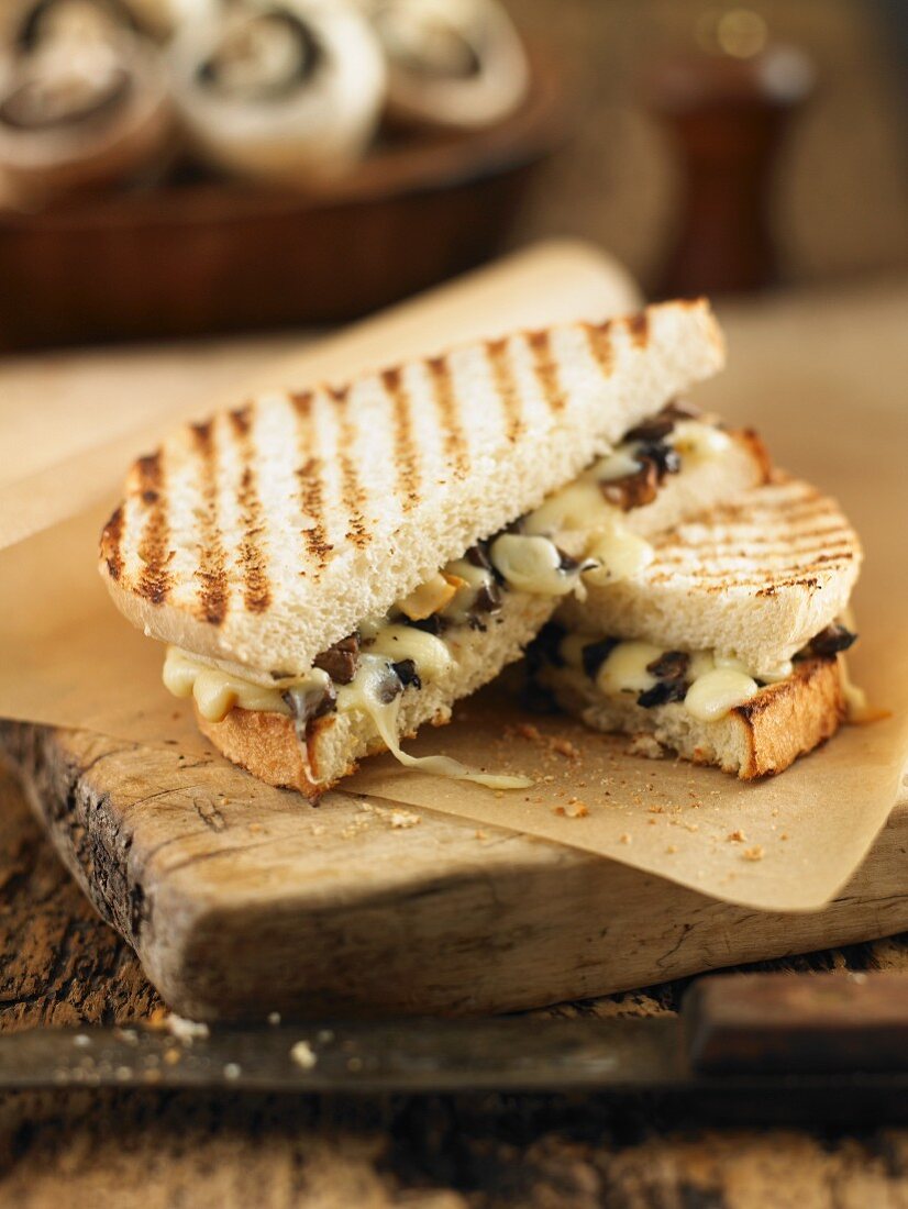 Toasted sandwiches with mushrooms and cheese