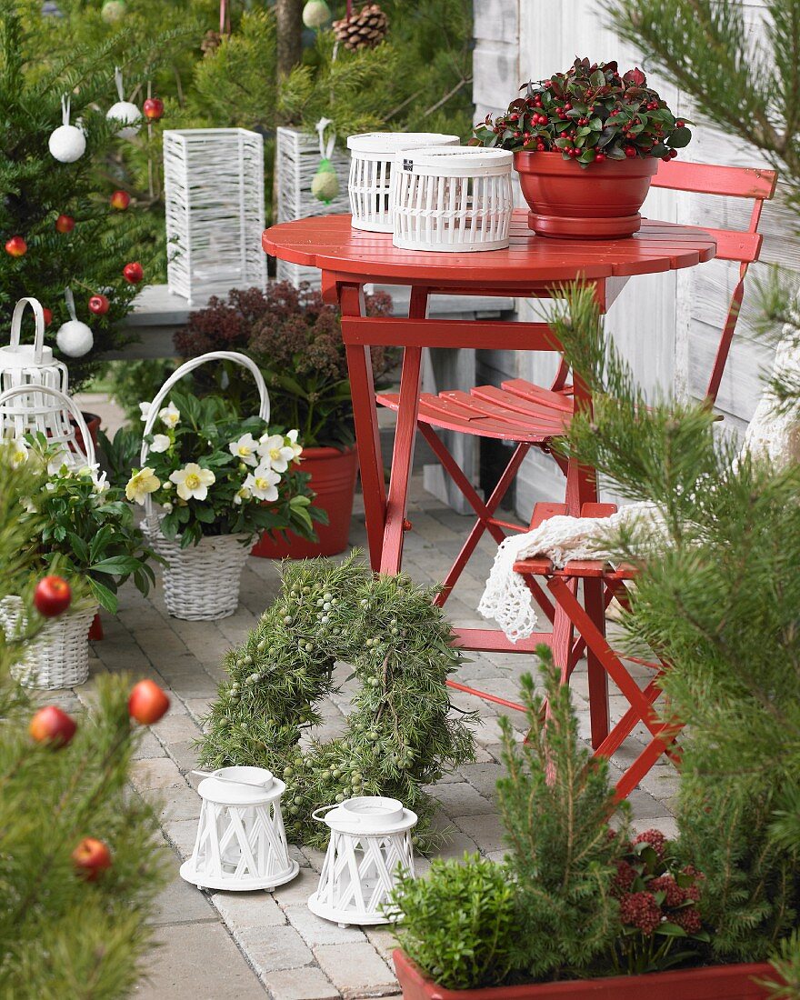 Terrassentisch und Stühle inmitten weihnachtlicher Pflanzendekoration