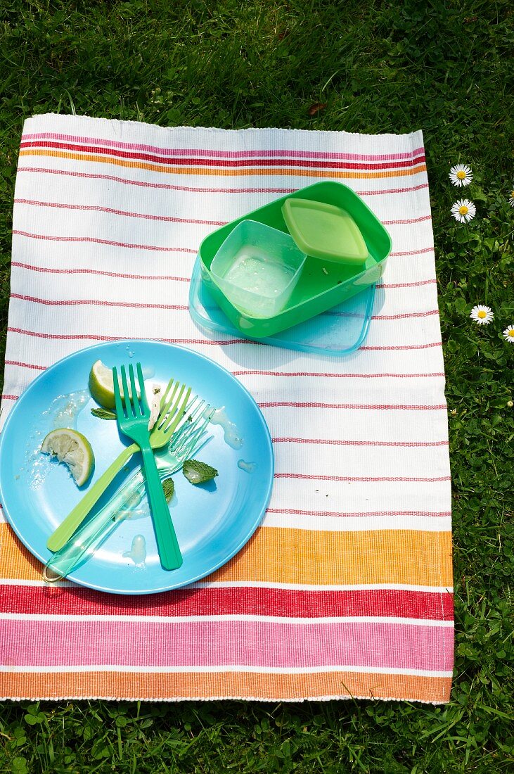 A cleared plate and picnic crockery on a striped cloth