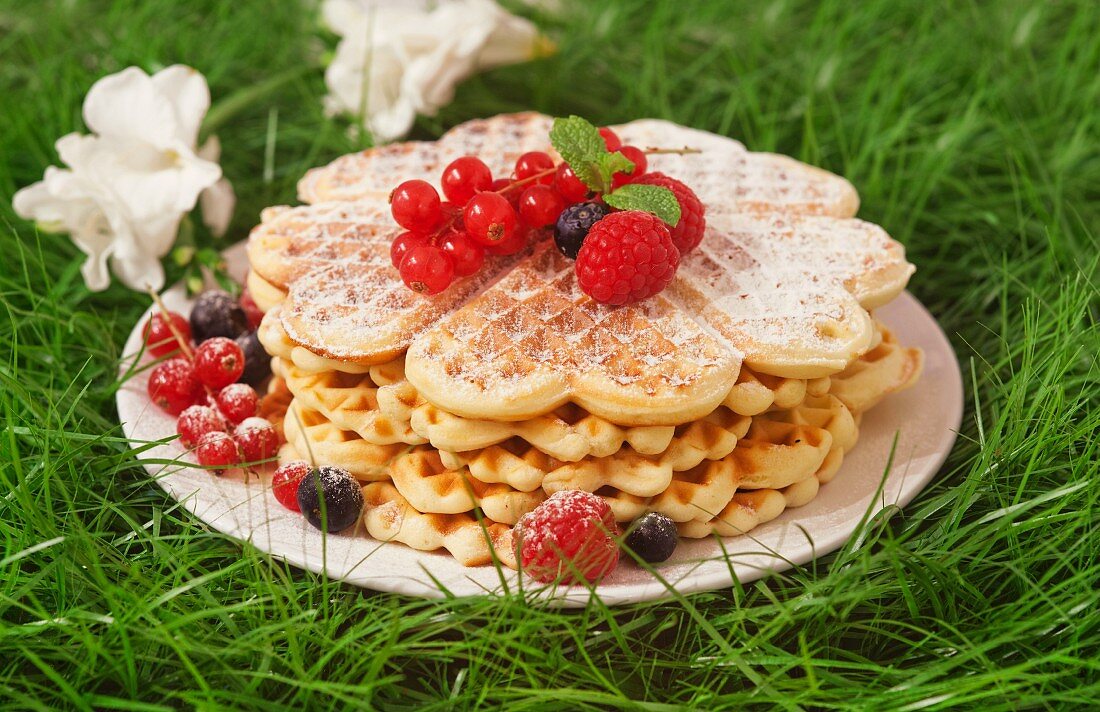 Waffeln mit Himbeeren, Heidelbeeren und Johannisbeeren im Gras