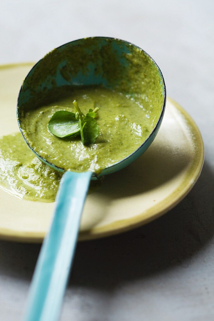 Cream of watercress soup in a soup ladle