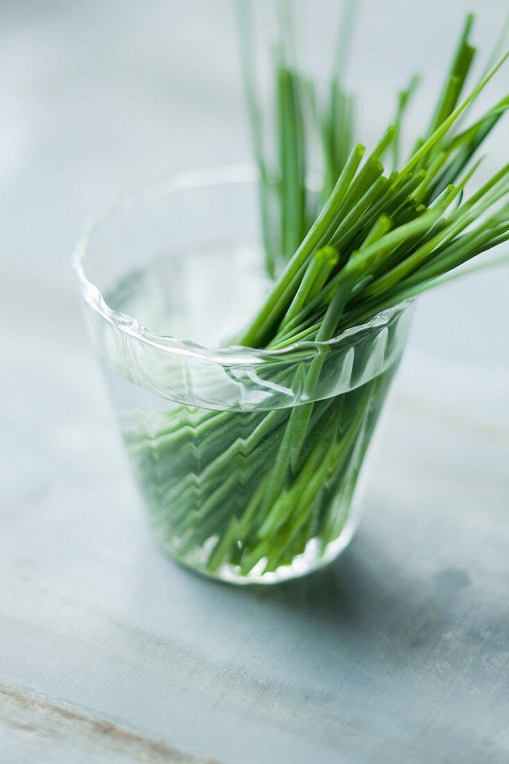 Fresh chives in a glass of water