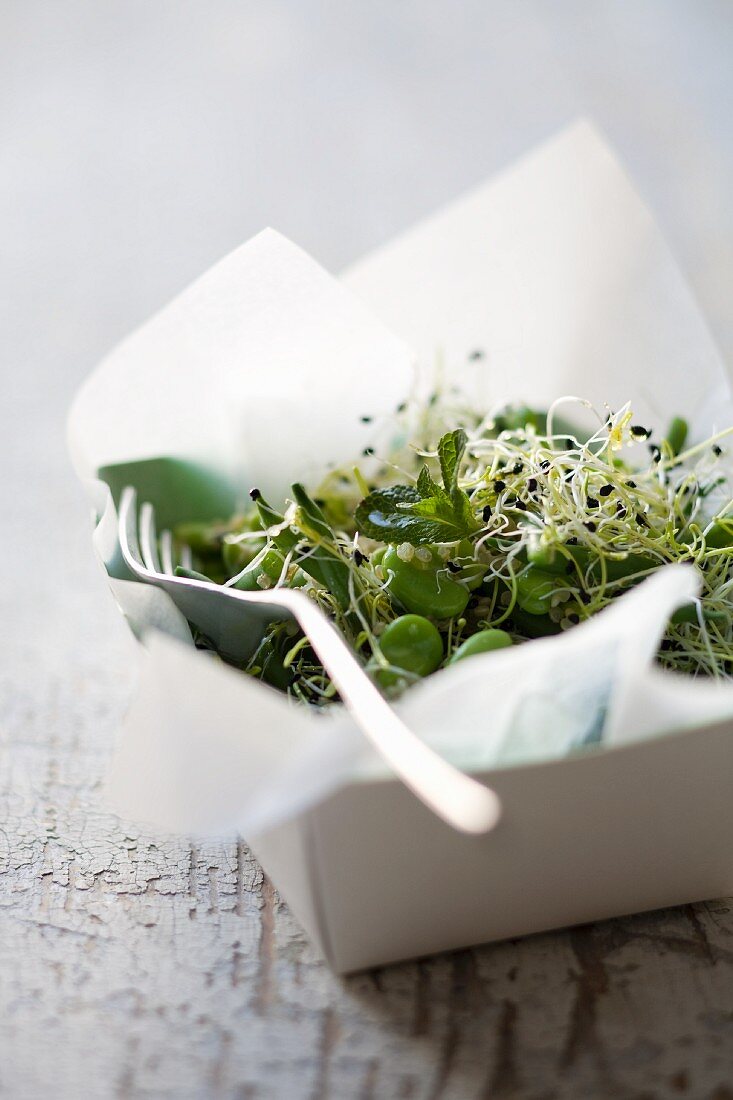 Bohnensalat mit Sprossen