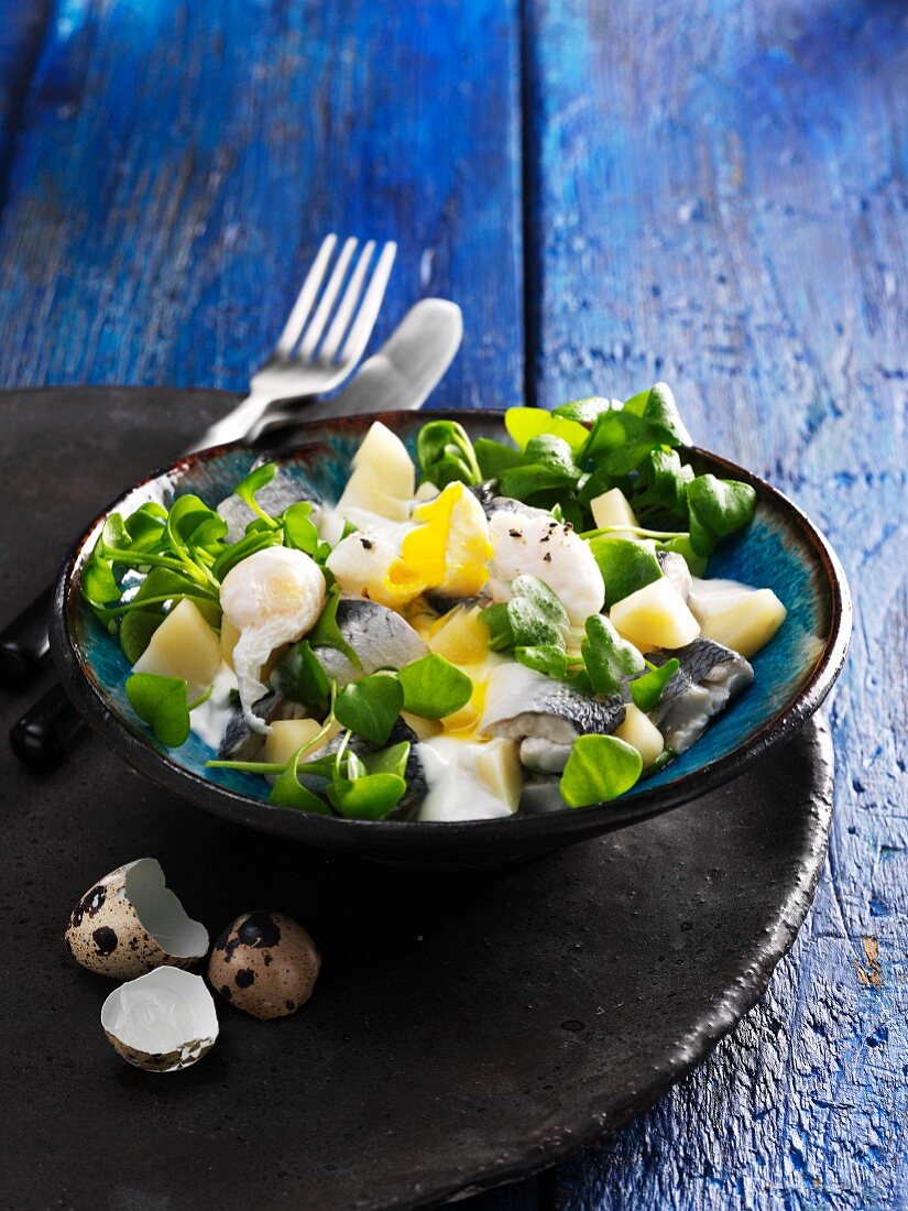 Herring salad with purslane, parsnips and poached quail's eggs