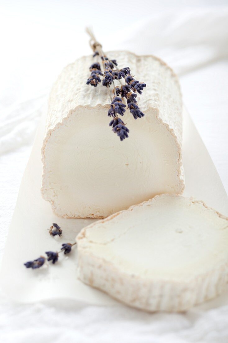 Goat's cheese with lavender flowers