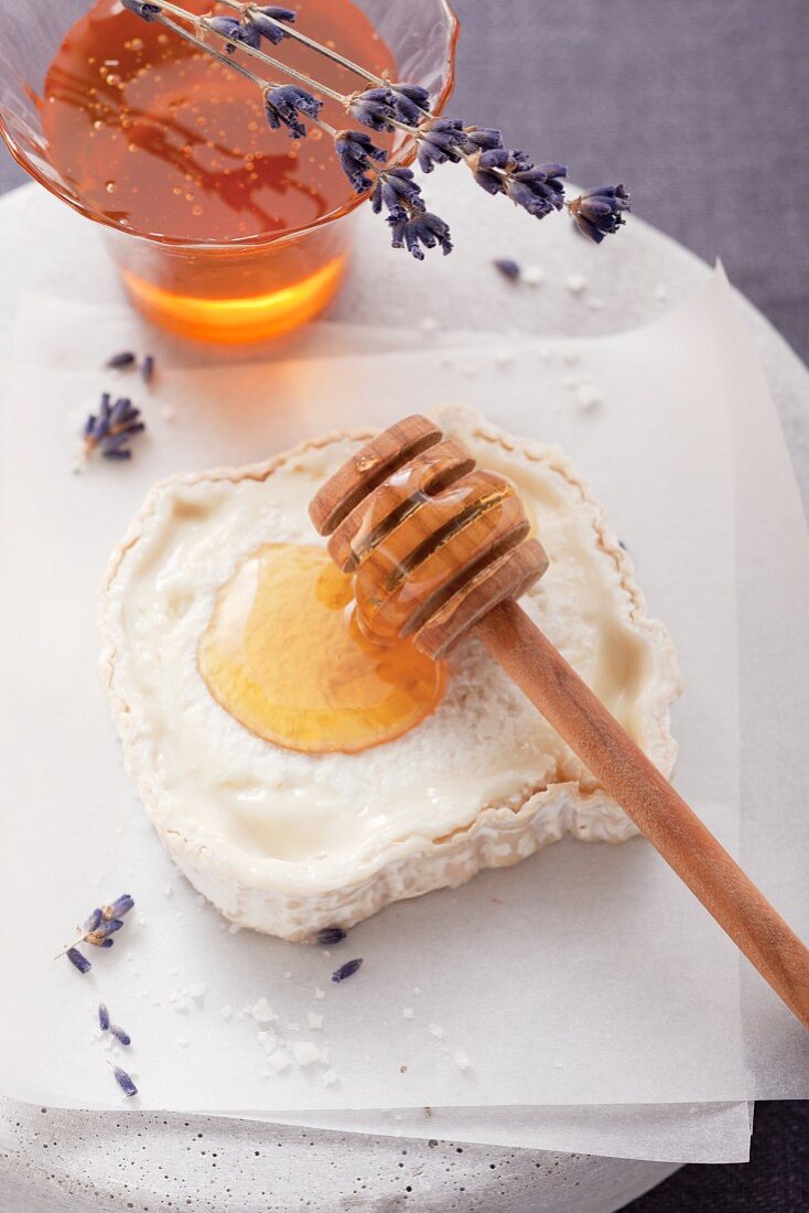 Ziegenkäse mit Honig und Lavendelblüten