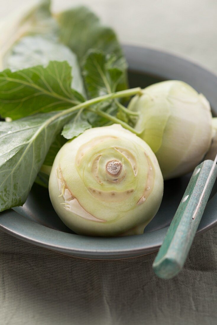 Two kohlrabi in a bowl with a knife