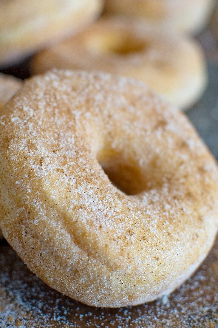 Doughnuts dusted with cinnamon sugar (close-up)