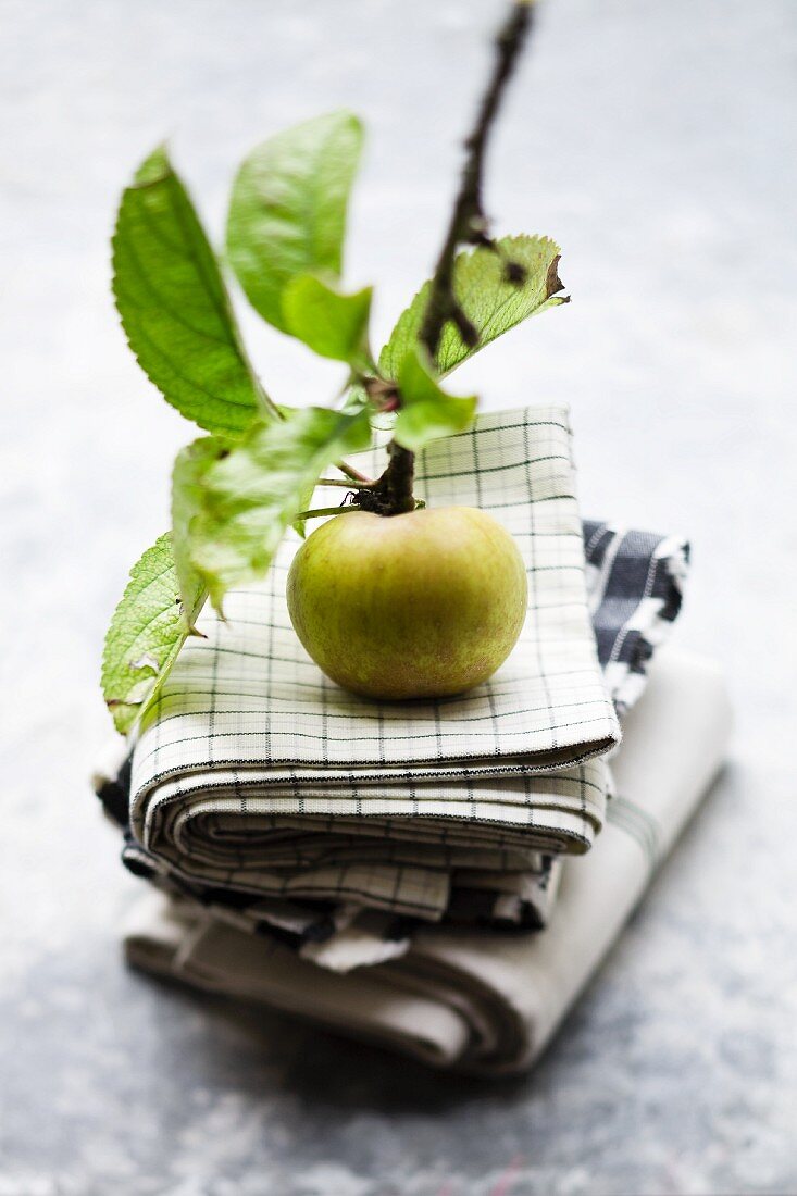 An apple attached to the twig on a stack of tea towels