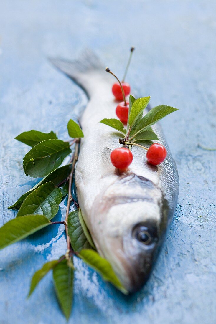 Sea bass and cherries