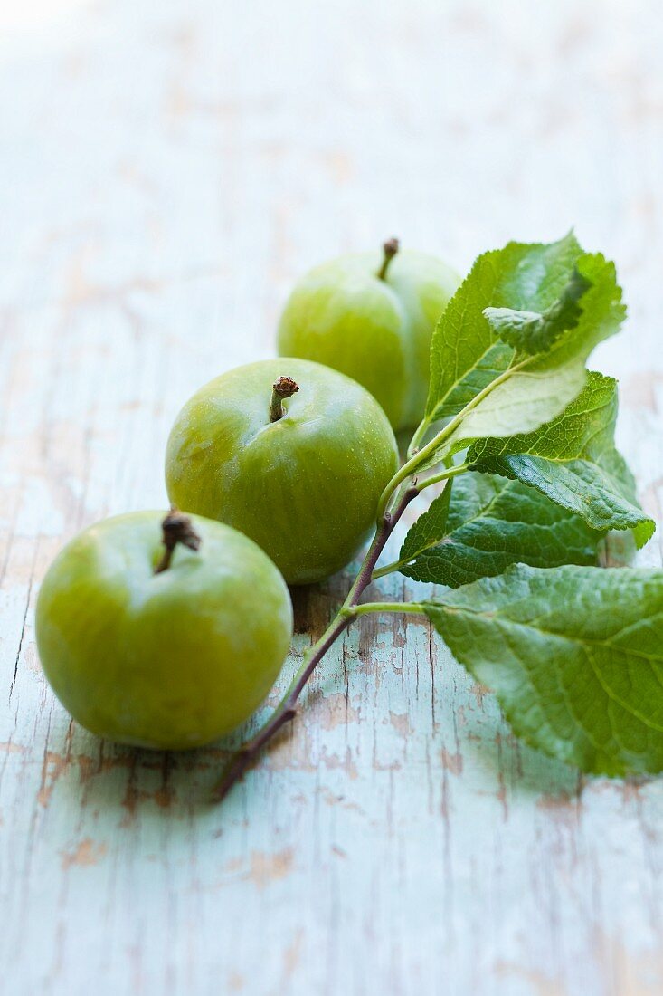 Three greengages with a twig