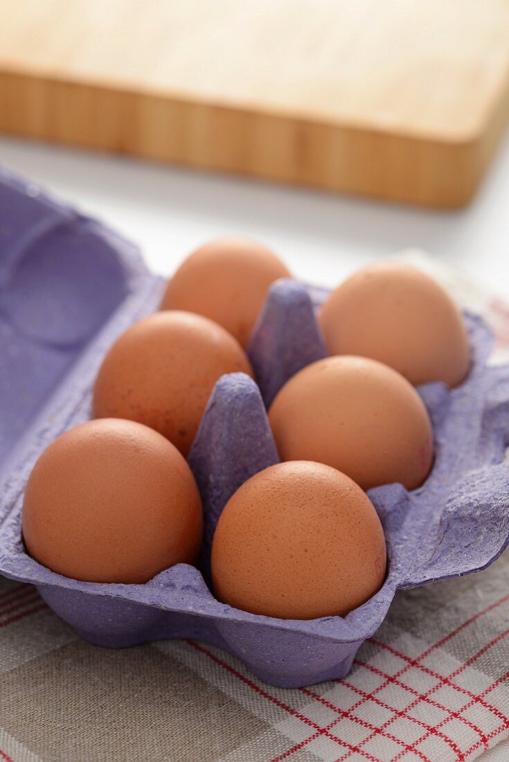 Sechs braune Eier im Eierkarton