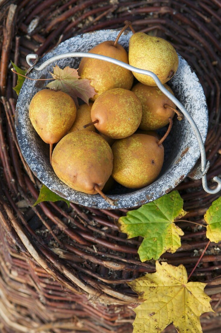 Fresh pears in a rustic bowl