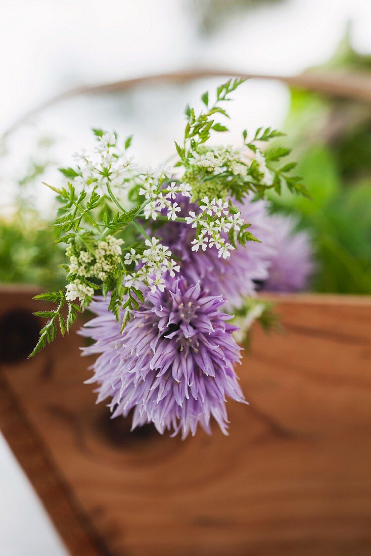 Fresh meadow herbs with chive flowers