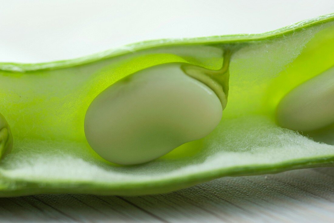 A bean pod, split open (close-up)