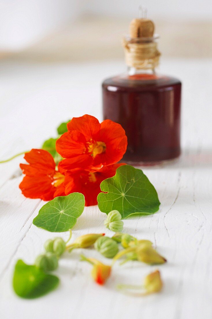 Nasturtium leaves and flowers in front of a bottle of vinegar