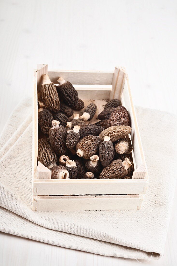 Fresh morels in a wooden box