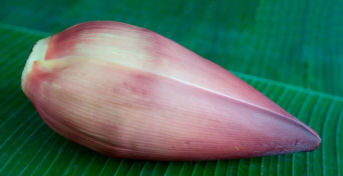 A banana flower for decoration