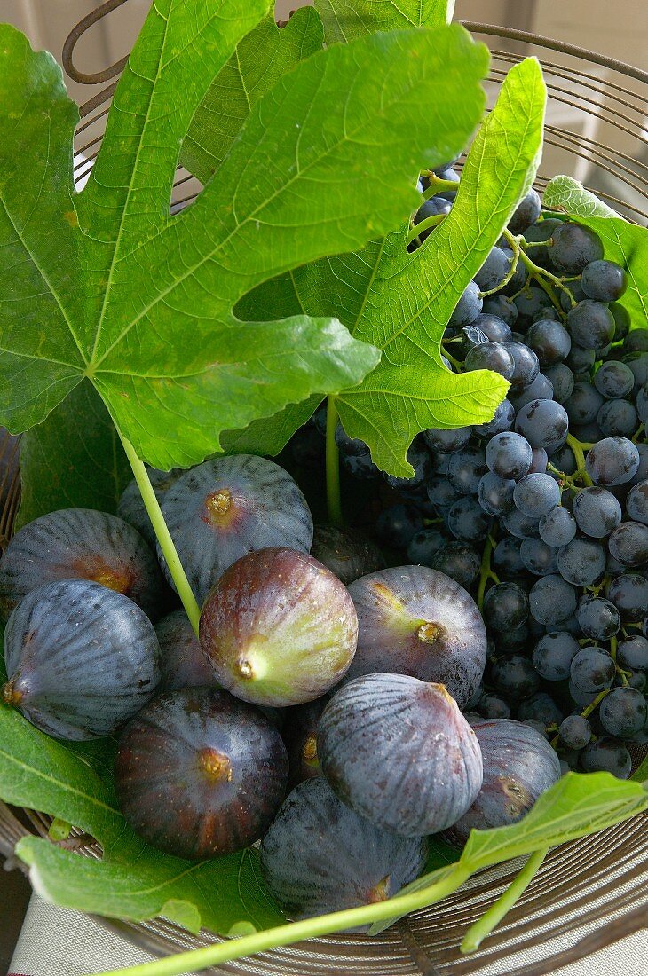 Fresh figs with leaves and black grapes in a wire basket