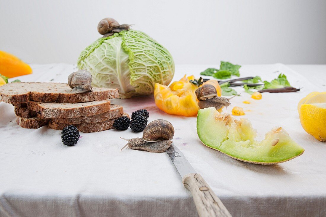 Stillleben mit Gemüse, Obst, Brot und darauf laufenden Schnecken