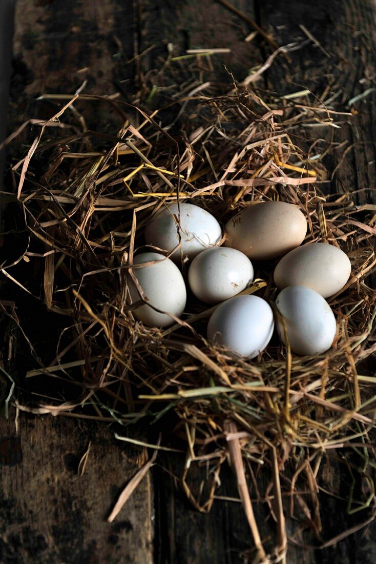 Eggs in a nest of hay