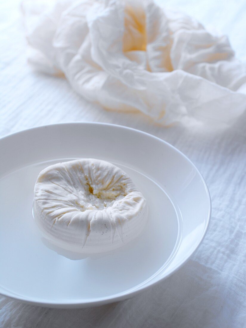 Home-made cream cheese wrapped in muslin
