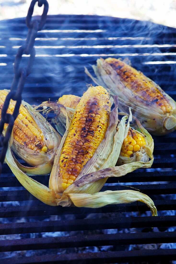 Gegrillte Maiskolben