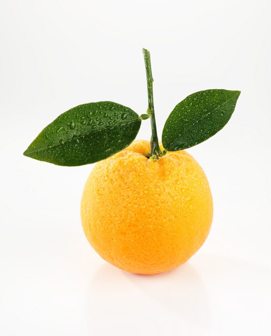 Orange mit Blättern