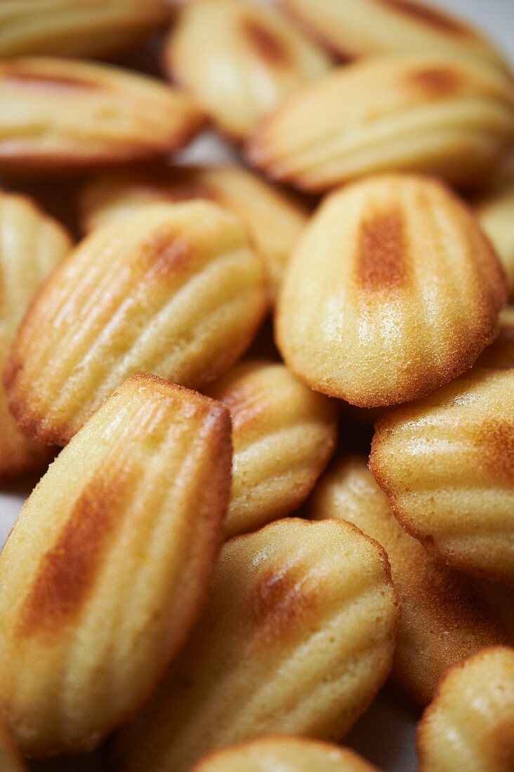 Viele Madeleines (Close Up)