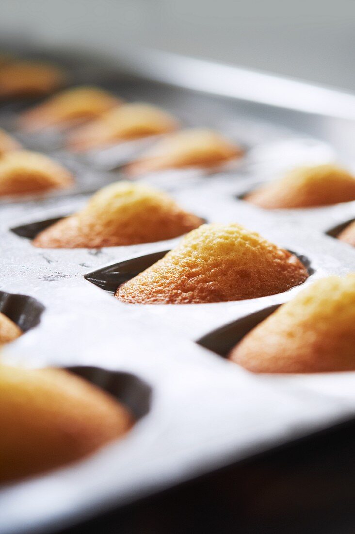 Madeleines Baking in a Silicone Mold