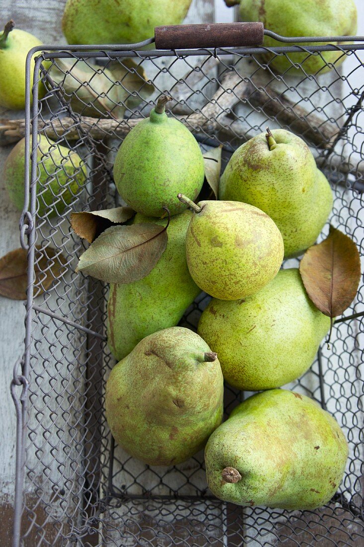 Williams Christ pears in a wire basket (view from above)