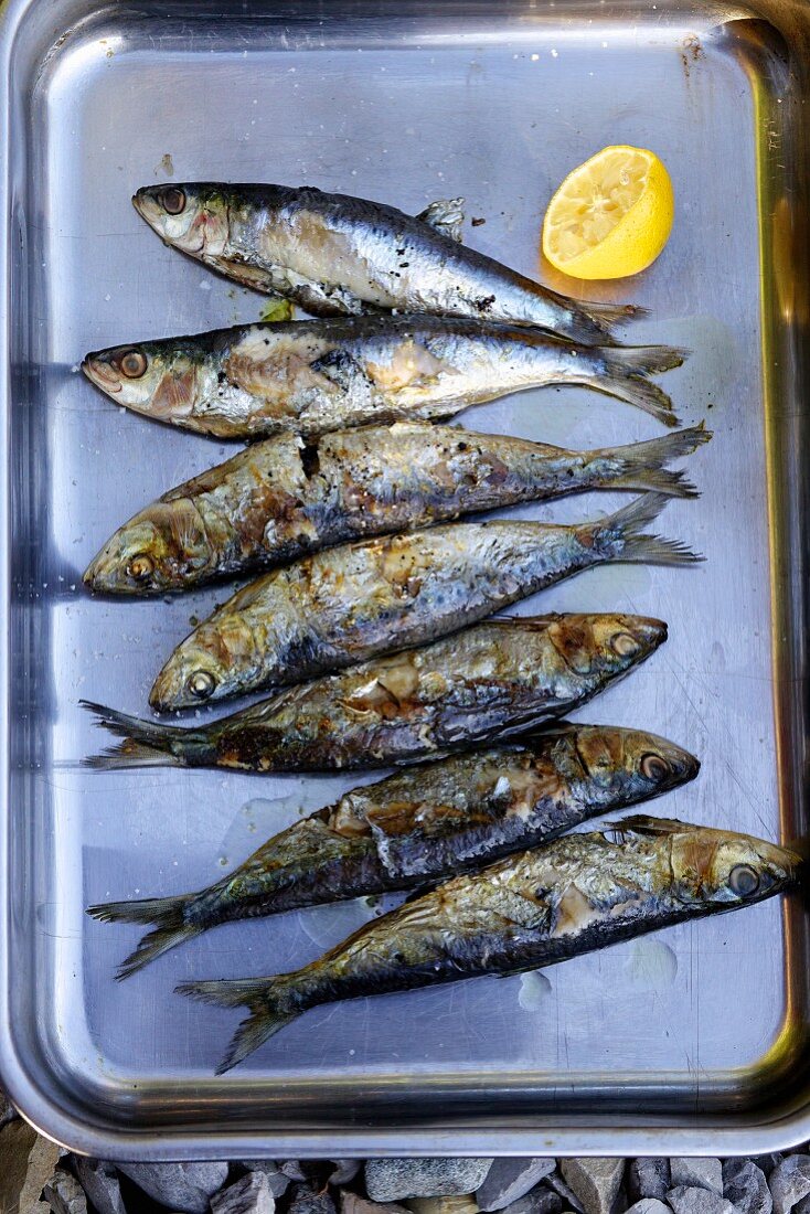 Barbecued sardines in an aluminium tray