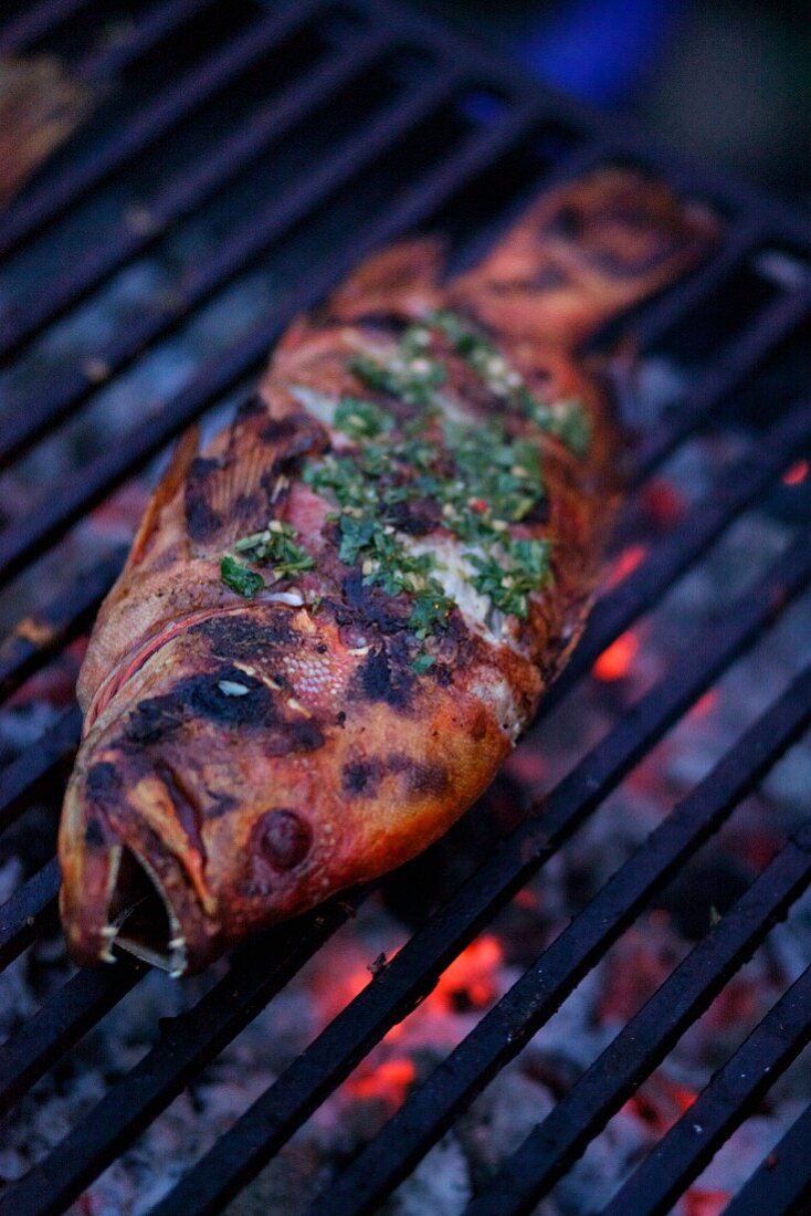 Red Snapper mit Kräutermarinade auf dem Grill