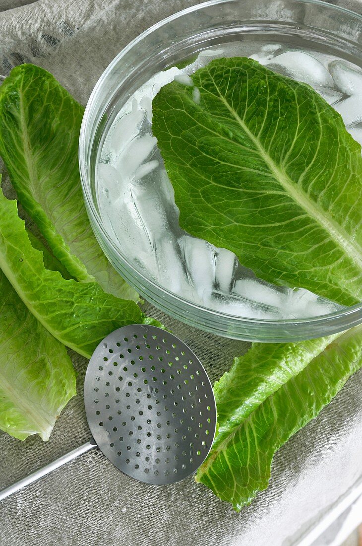 Lettuce leaves in iced water