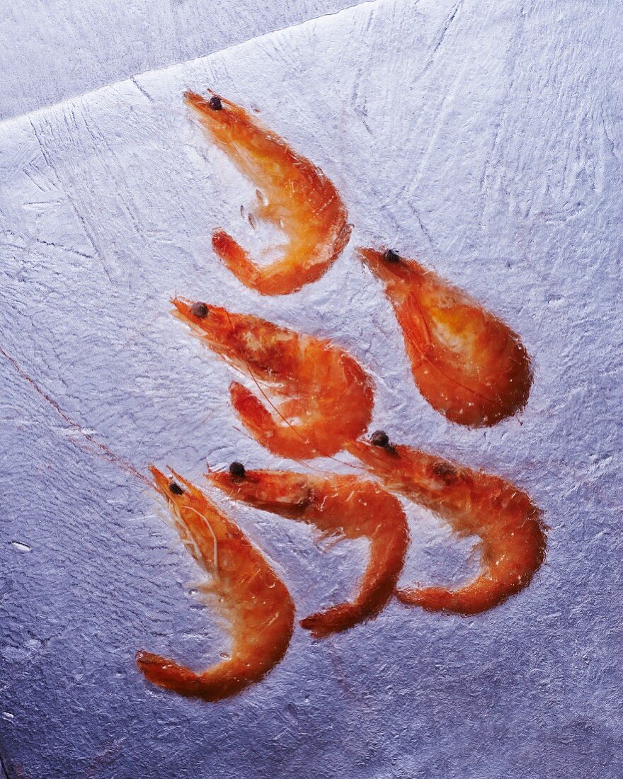 Prawns in ice