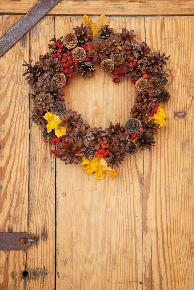 Autumnal wreath of pine cones, rowan berries and autumn leaves hanging on wooden door