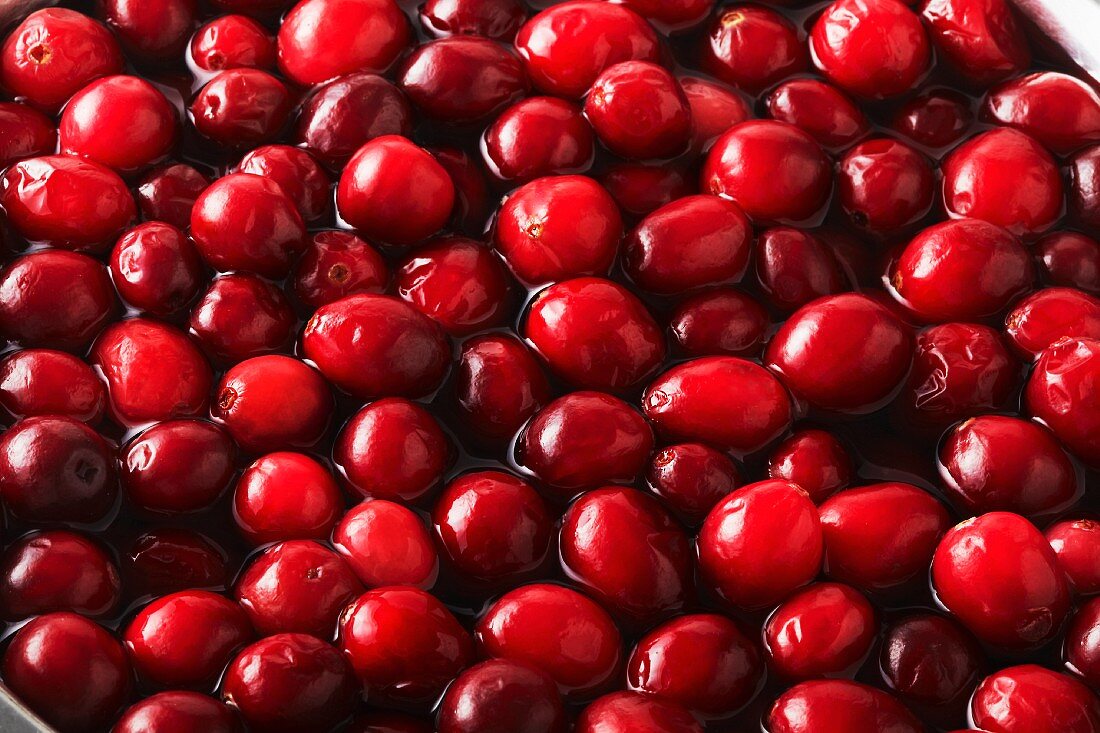 Lots of cranberries in water (filling the image)