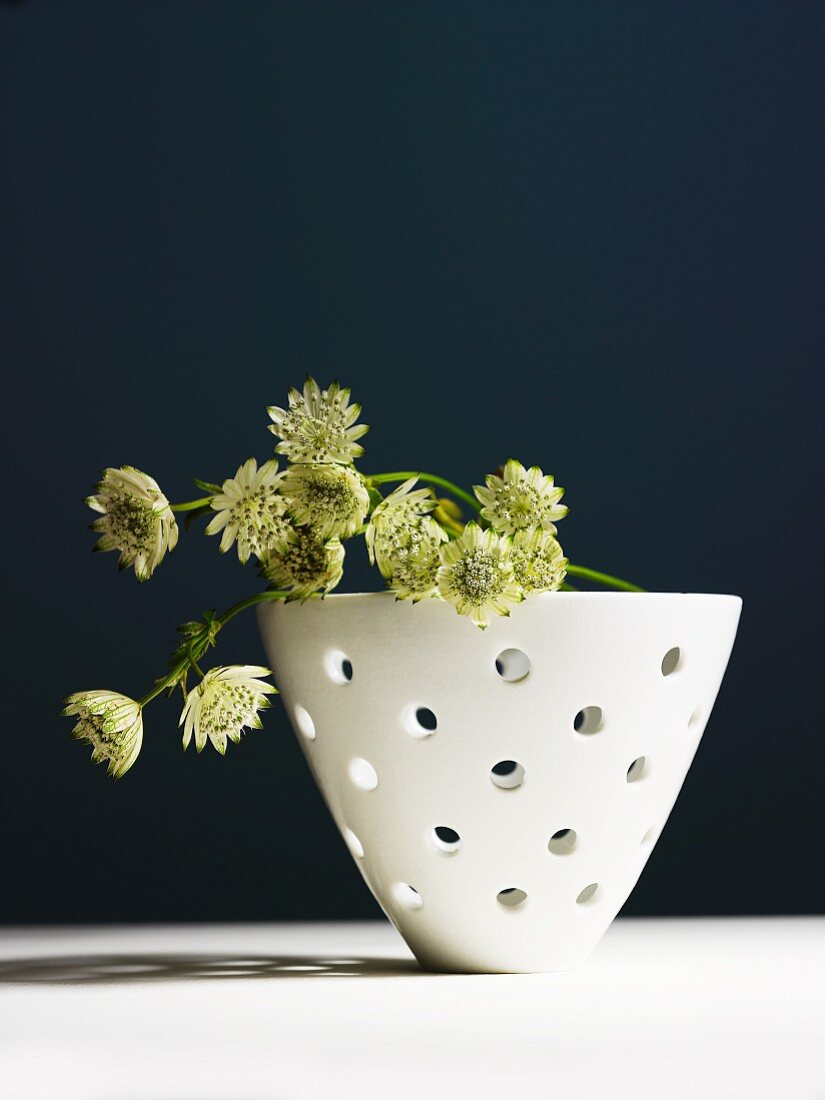 Trockenblumen in einer gelöcherten Keramikschale