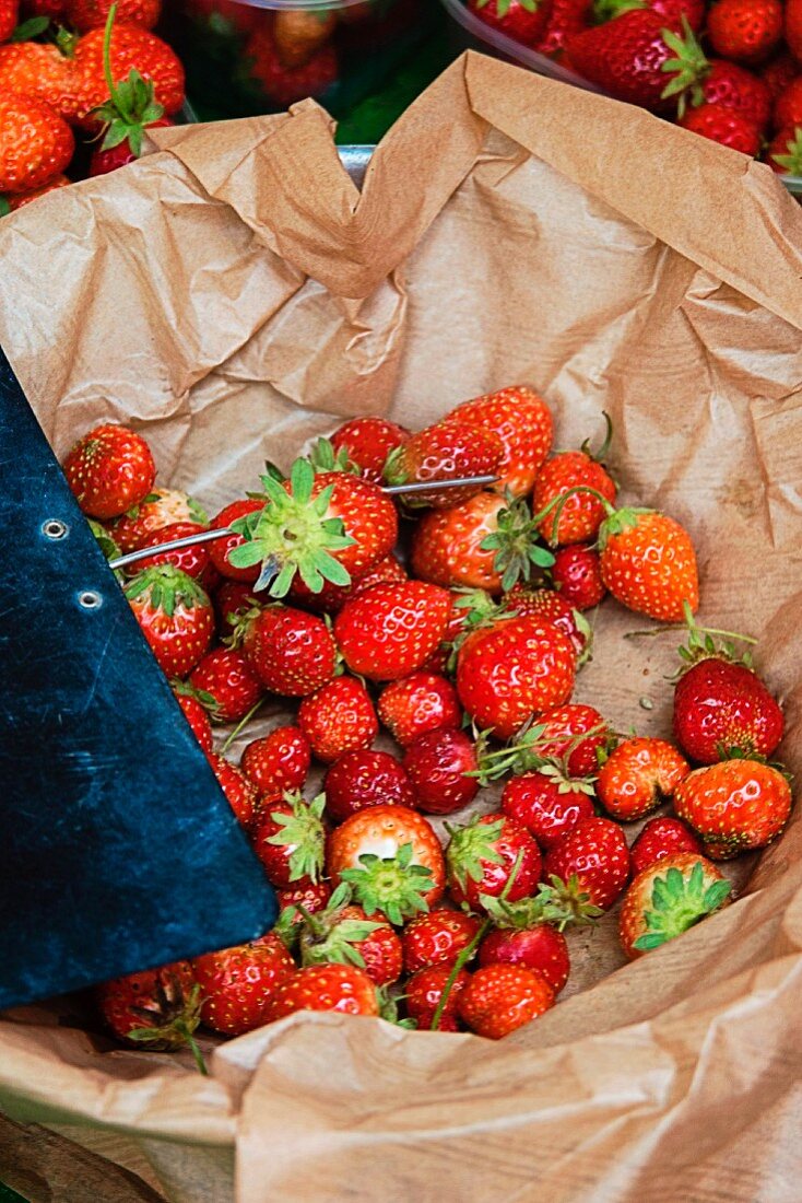 Frische Erdbeeren auf dem Markt