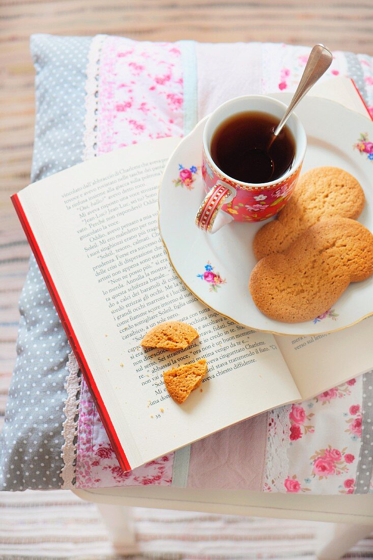 Tea and biscuits on a book on top of a cushion