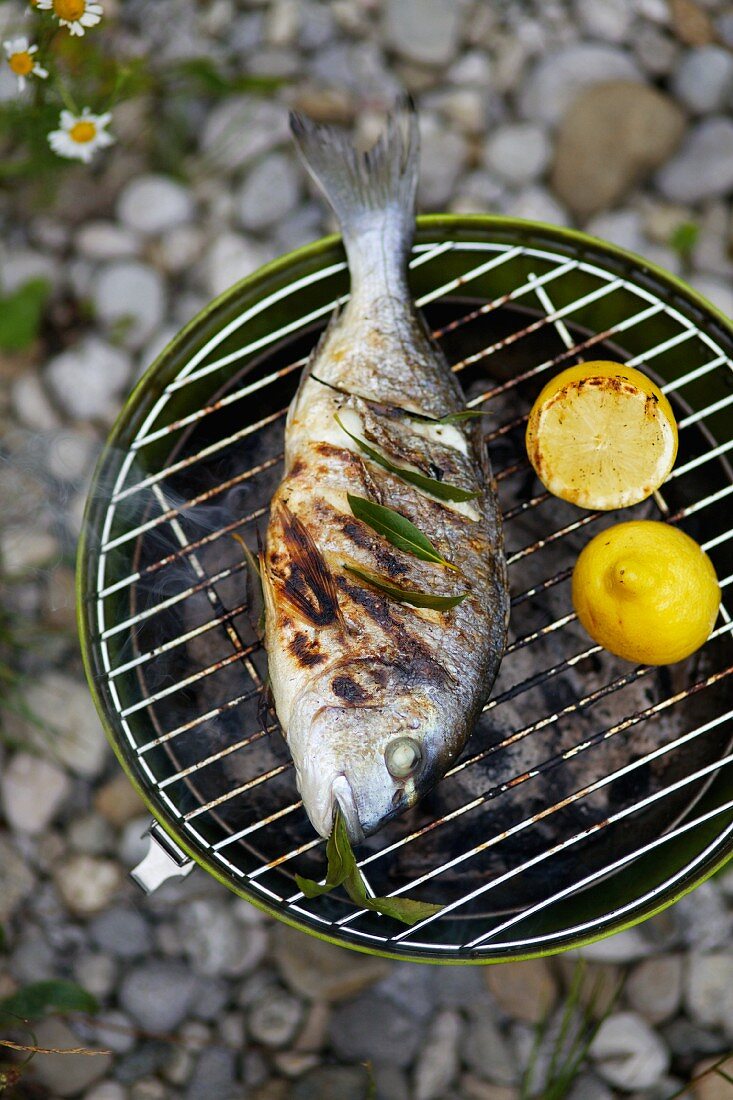 Barbecued gilt-head bream with fresh bay leaves and lemons